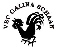 The VBC Galina logo