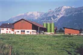A farm in Ruggell